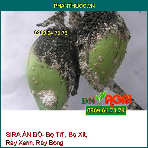 SIRA ẤN ĐỘ- Bọ Trĩ , Bọ Xít, Rầy Xanh, Rầy Bông