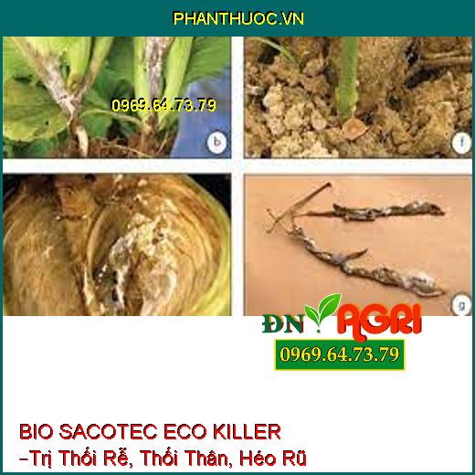 BIO SACOTEC ECO KILLER –Trị Thối Rễ, Thối Thân, Héo Rũ