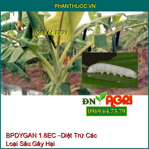 BPDYGAN 1.8EC –Diệt Trừ Các Loại Sâu Gây Hại