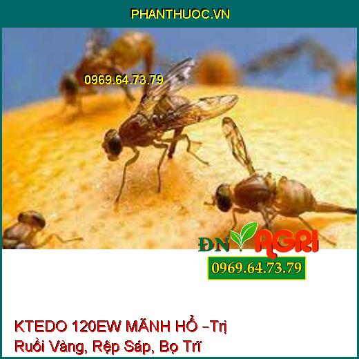 KTEDO 120EW MÃNH HỔ –Trị Ruồi Vàng, Rệp Sáp, Bọ Trĩ