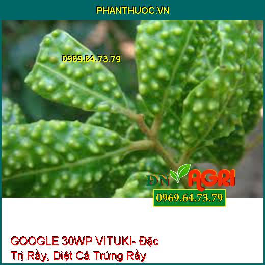 GOOGLE 30WP VITUKI- Đặc Trị Rầy, Diệt Cả Trứng Rầy