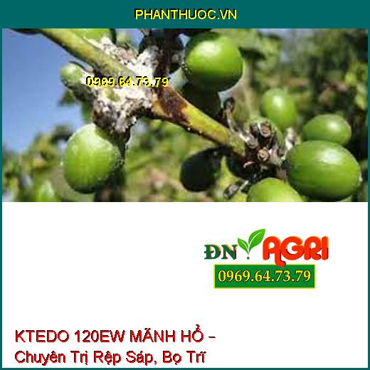 KTEDO 120EW MÃNH HỔ – Chuyên Trị Rệp Sáp, Bọ Trĩ