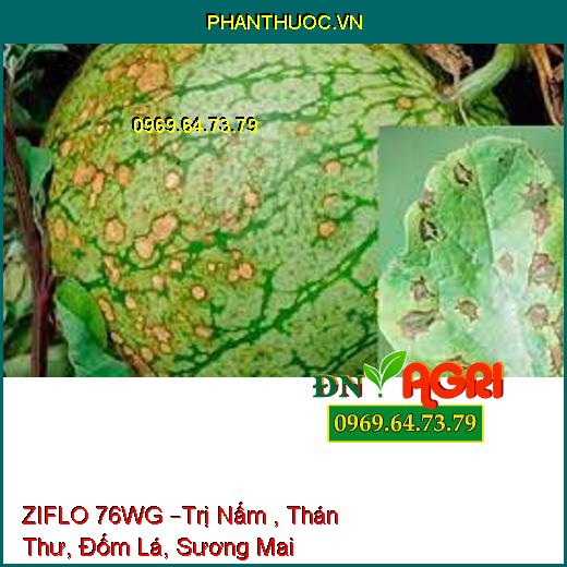 ZIFLO 76WG –Trị Nấm , Thán Thư, Đốm Lá, Sương Mai