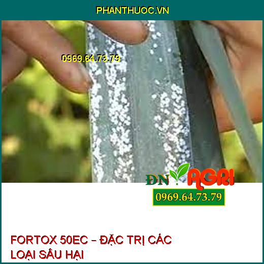 FORTOX 50EC – ĐẶC TRỊ CÁC LOẠI SÂU HẠI