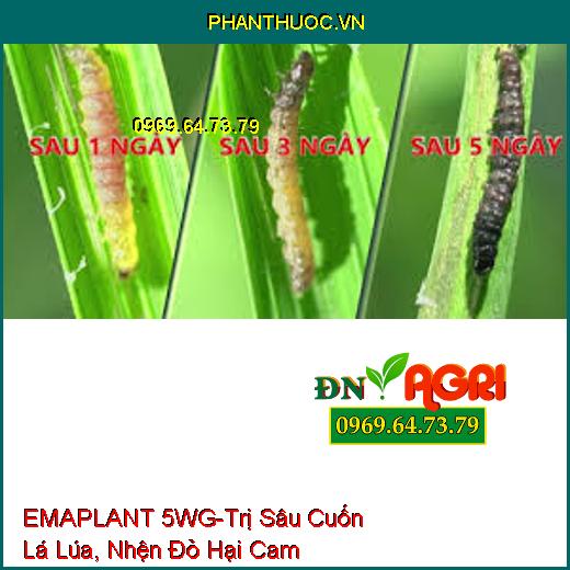 EMAPLANT 5WG-Trị Sâu Cuốn Lá Lúa, Nhện Đỏ Hại Cam