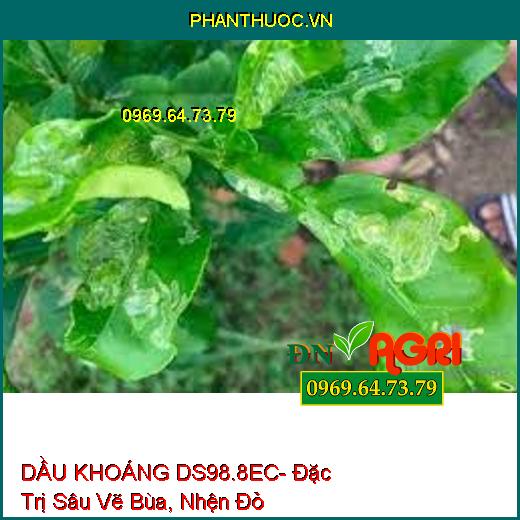 DẦU KHOÁNG DS98.8EC- Đặc Trị Sâu Vẽ Bùa, Nhện Đỏ