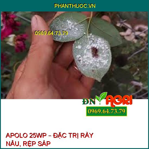 APOLO 25WP – ĐẶC TRỊ RẦY NÂU, RỆP SÁP