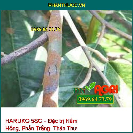 HARUKO 5SC – Đặc trị Nấm Hồng, Phấn Trắng, Thán Thư