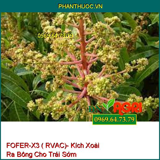 FOFER-X3 ( RVAC)- Kích Xoài Ra Bông Cho Trái Sớm