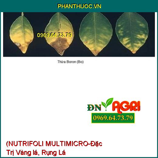 (NUTRIFOLI MULTIMICRO-Đặc Trị Vàng lá, Rụng Lá