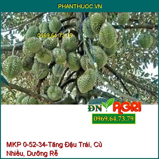 MKP 0-52-34-Tăng Đậu Trái, Củ Nhiều, Dưỡng Rễ