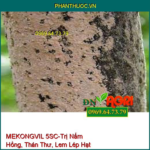 MEKONGVIL 5SC-Trị Nấm Hồng, Thán Thư, Lem Lép Hạt