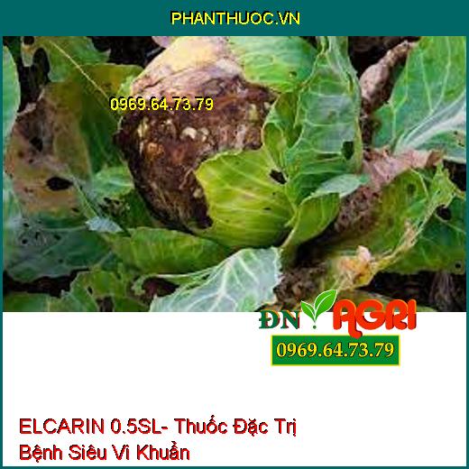 ELCARIN 0.5SL- Thuốc Đặc Trị Bệnh Siêu Vi Khuẩn