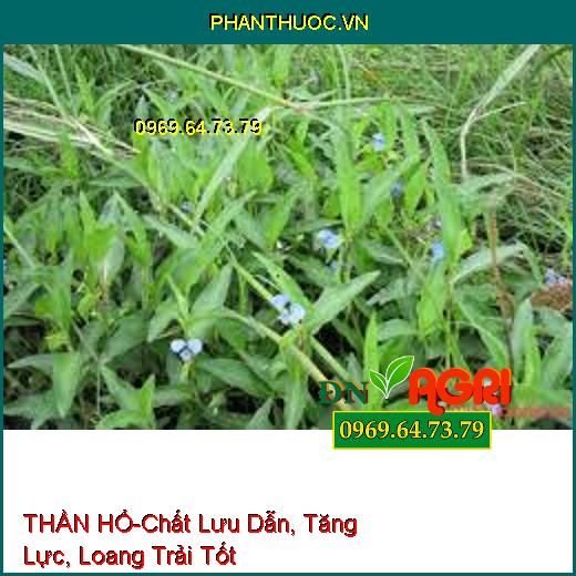 THẦN HỔ-Chất Lưu Dẫn, Tăng Lực, Loang Trải Tốt