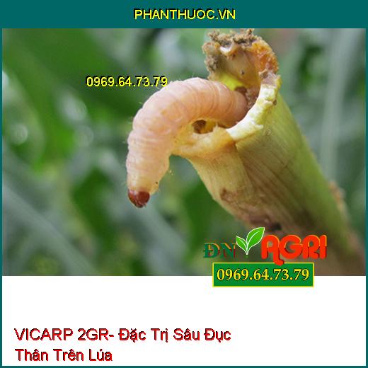 VICARP 2GR- Đặc Trị Sâu Đục Thân Trên Lúa