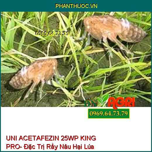 UNI ACETAFEZIN 25WP KING PRO- Đặc Trị Rầy Nâu Hại Lúa