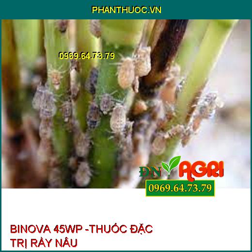 BINOVA 45WP -THUỐC ĐẶC TRỊ RẦY NÂU