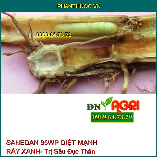 SANEDAN 95WP DIỆT MẠNH RẦY XANH- Trị Sâu Đục Thân