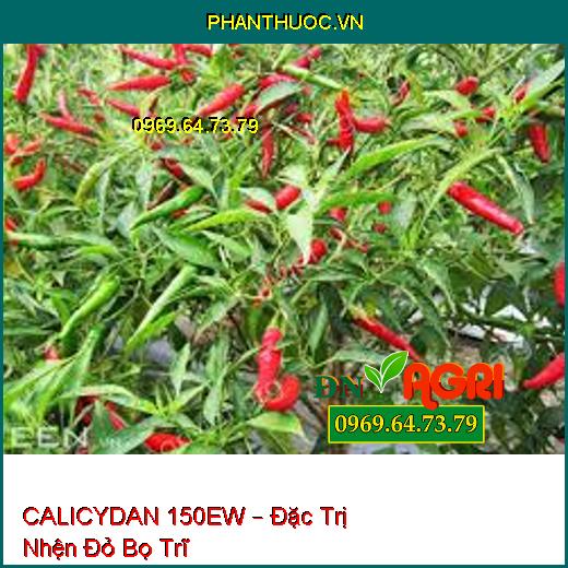 CALICYDAN 150EW – Đặc Trị Nhện Đỏ Bọ Trĩ