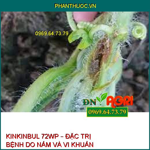 KINKINBUL 72WP – ĐẶC TRỊ BỆNH DO NẤM VÀ VI KHUẨN