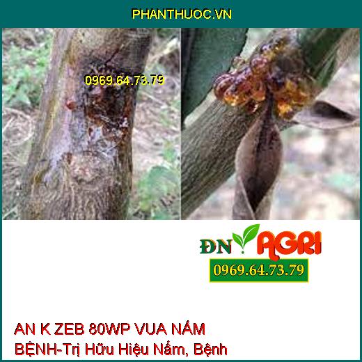 AN K ZEB 80WP VUA NẤM BỆNH-Trị Hữu Hiệu Nấm, Bệnh Hại