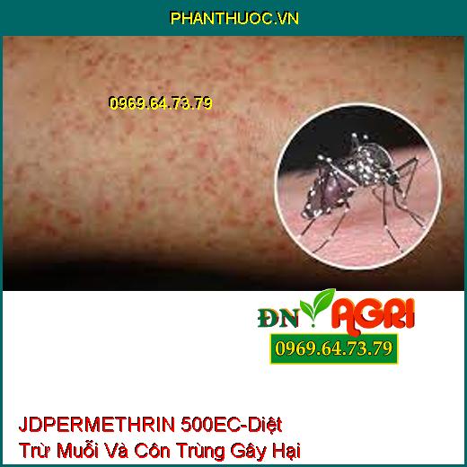 JDPERMETHRIN 500EC-Diệt Trừ Muỗi Và Côn Trùng Gây Hại