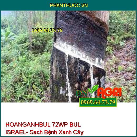 HOANGANHBUL 72WP BUL ISRAEL- Sạch Bệnh Xanh Cây