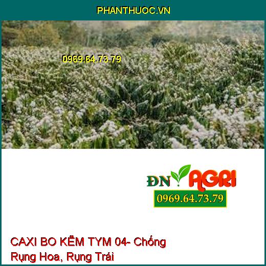 CAXI BO KẼM TYM 04- Chống Rụng Hoa, Rụng Trái