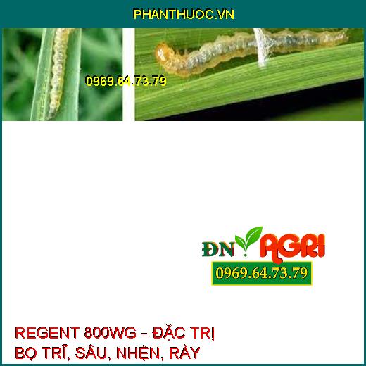 REGENT 800WG – ĐẶC TRỊ BỌ TRĨ, SÂU, NHỆN, RẦY