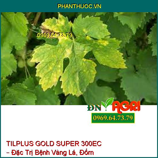 TILPLUS GOLD SUPER 300EC – Đặc Trị Bệnh Vàng Lá, Đốm Vằn