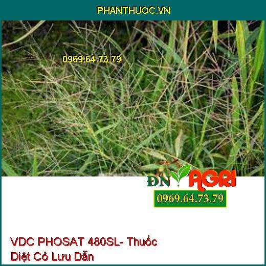 VDC PHOSAT 480SL- Thuốc Diệt Cỏ Lưu Dẫn