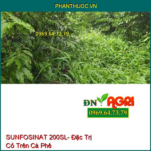 SUNFOSINAT 200SL- Đặc Trị Cỏ Trên Cà Phê