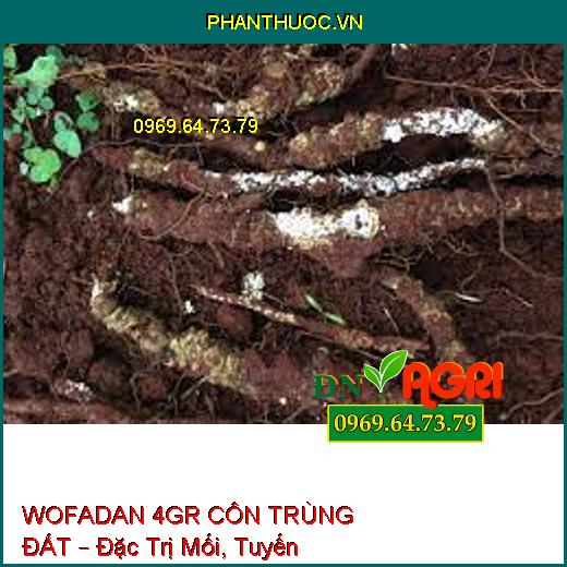 WOFADAN 4GR CÔN TRÙNG ĐẤT – Đặc Trị Mối, Tuyến Trùng, Rệp