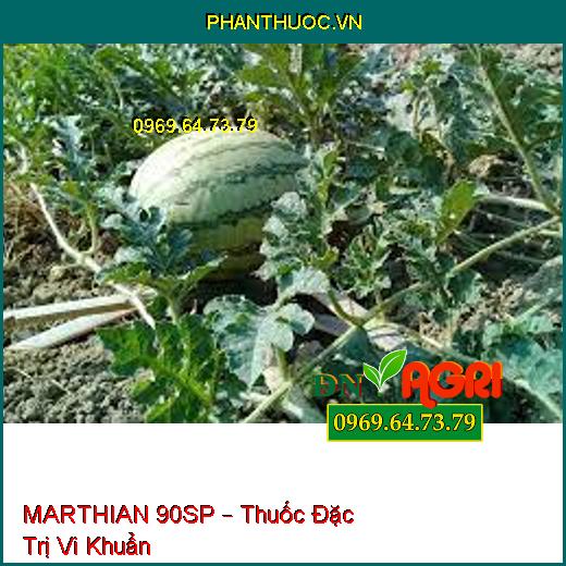 MARTHIAN 90SP – Thuốc Đặc Trị Vi Khuẩn