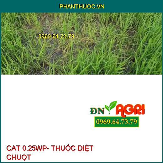 CAT 0.25WP- THUỐC DIỆT CHUỘT