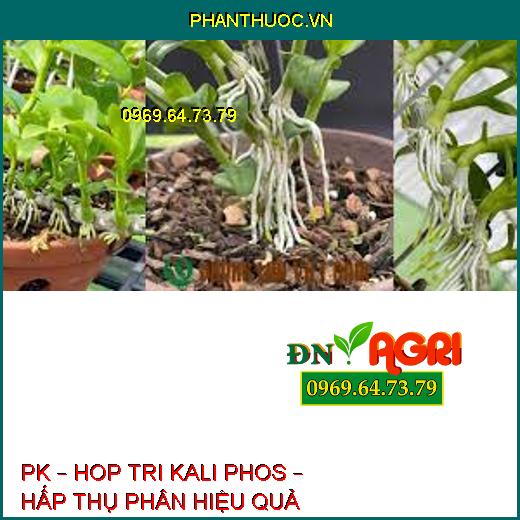 PK – HOP TRI KALI PHOS – HẤP THỤ PHÂN HIỆU QUẢ