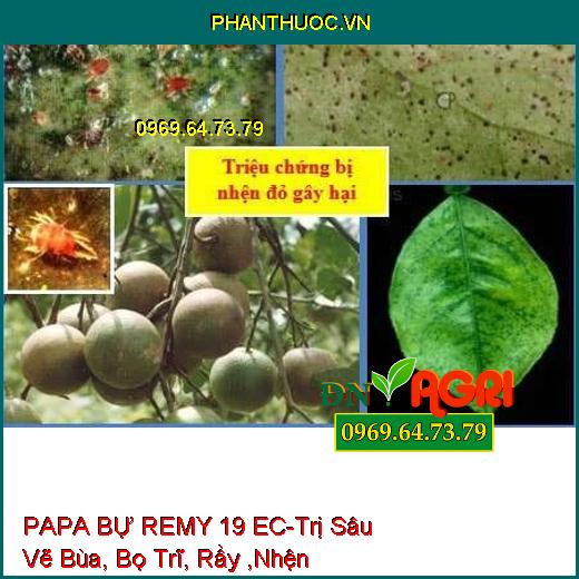 PAPA BỰ REMY 19 EC-Trị Sâu Vẽ Bùa, Bọ Trĩ, Rầy ,Nhện