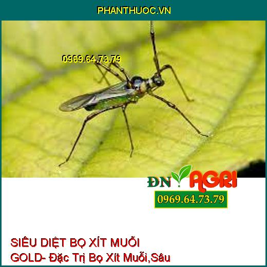 SIÊU DIỆT BỌ XÍT MUỖI GOLD- Đặc Trị Bọ Xít Muỗi,Sâu