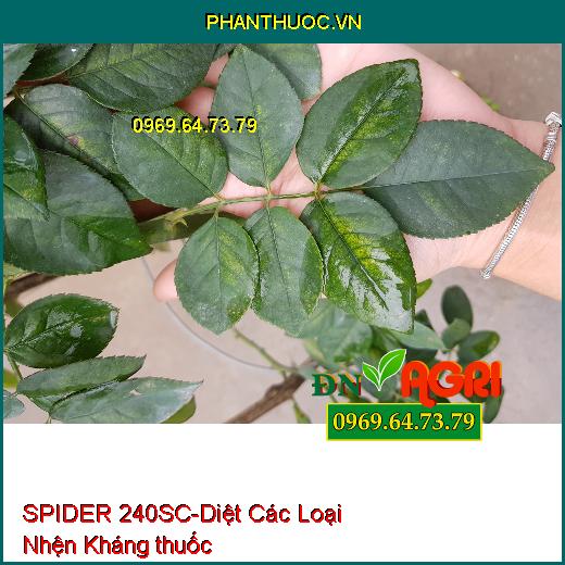 SPIDER 240SC-Diệt Các Loại Nhện Kháng thuốc