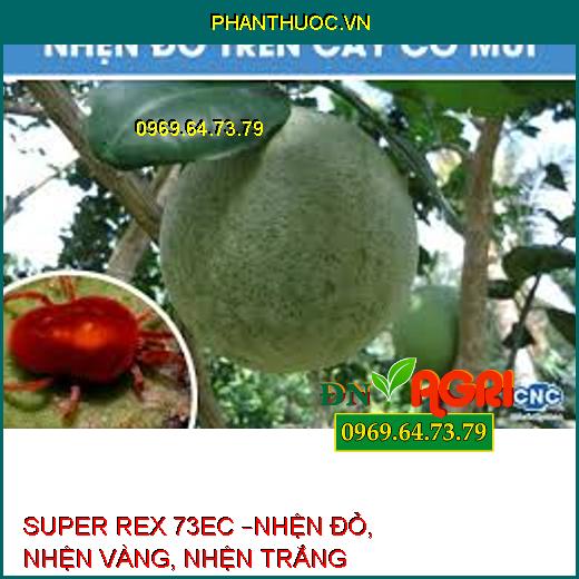 SUPER REX 73EC –NHỆN ĐỎ, NHỆN VÀNG, NHỆN TRẮNG