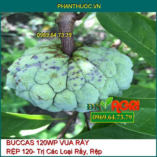 BUCCAS 120WP VUA RẦY RỆP 120- Trị Các Loại Rầy, Rệp