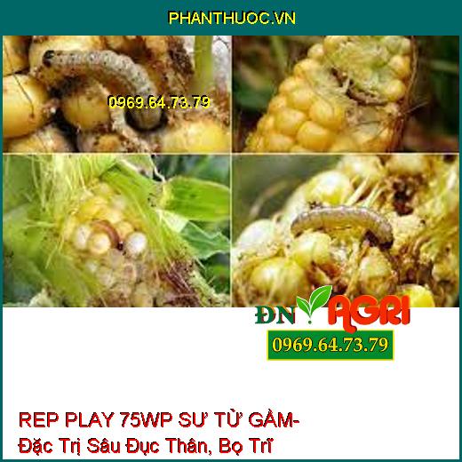 REP PLAY 75WP SƯ TỬ GẦM- Đặc Trị Sâu Đục Thân, Bọ Trĩ