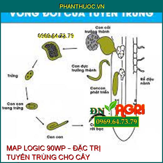 MAP LOGIC 90WP – ĐẶC TRỊ TUYẾN TRÙNG CHO CÂY TRỒNG