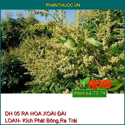 DH 05 RA HOA XOÀI ĐÀI LOAN- Kích Phát Bông,Ra Trái