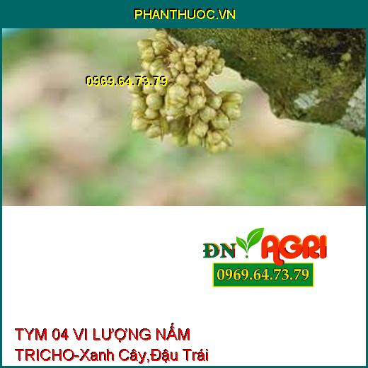 TYM 04 VI LƯỢNG NẤM TRICHO-Xanh Cây,Đậu Trái