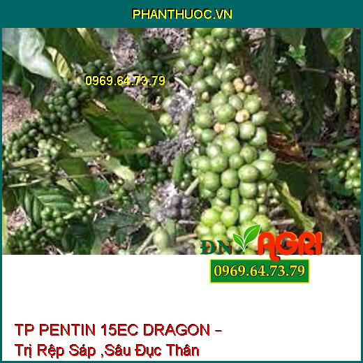 TP PENTIN 15EC DRAGON – Trị Rệp Sáp ,Sâu Đục Thân