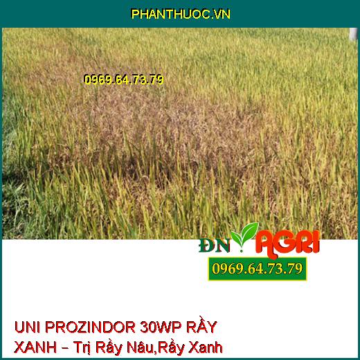 UNI PROZINDOR 30WP RẦY XANH – Trị Rầy Nâu,Rầy Xanh