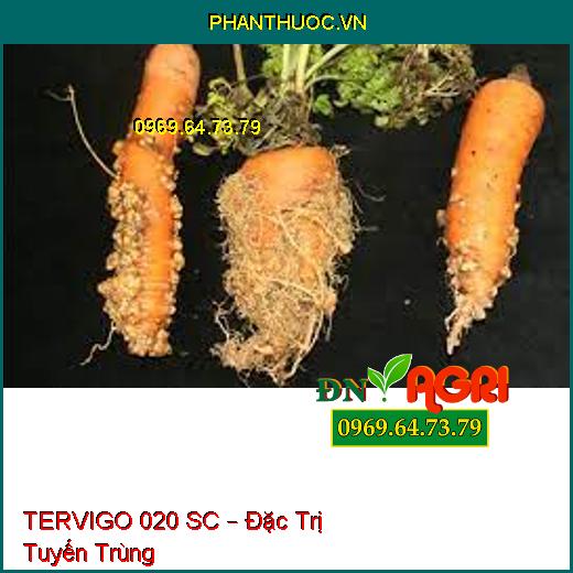 TERVIGO 020 SC – Đặc Trị Tuyến Trùng