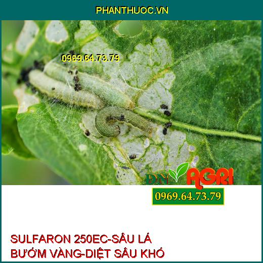 SULFARON 250EC-SÂU LÁ BƯỚM VÀNG-DIỆT SÂU KHÓ TRỊ