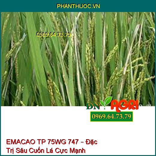 EMACAO TP 75WG 747 – Đặc Trị Sâu Cuốn Lá Cực Mạnh